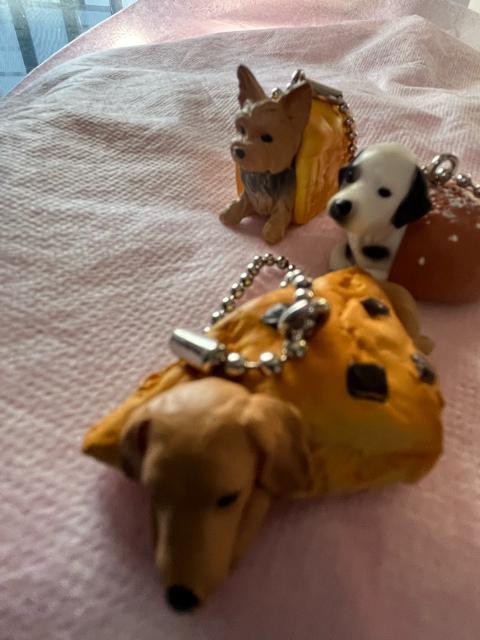 �K�`���K�`���I���ʂς�I3�Z�b�g�I�_�����V����h�[�i�c�I����[���ρ[��e���A�I�_�b�N�X�R�[���I�ł��I���g�p�I �� �z�r�[�� 