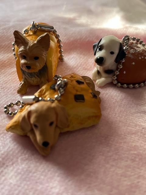 �K�`���K�`���I���ʂς�I3�Z�b�g�I�_�����V����h�[�i�c�I����[���ρ[��e���A�I�_�b�N�X�R�[���I�ł��I���g�p�I �� �z�r�[�� 