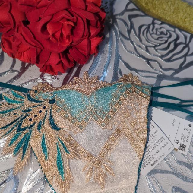 Wacoal/R[/salute/T[g/X܌/79G/Ƃ̖/GWvg/\OTobNV[c/M/BE  t@bV 