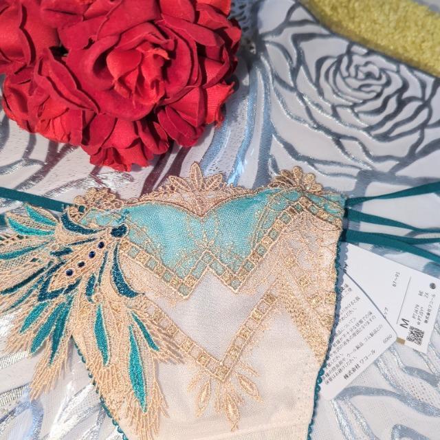 Wacoal/R[/salute/T[g/X܌/79G/Ƃ̖/GWvg/\OTobNV[c/M/BE  t@bV 