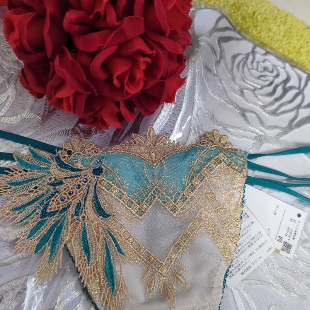 Wacoal/R[/salute/T[g/X܌/79G/Ƃ̖/GWvg/\OTobNV[c/M/BE  t@bV 