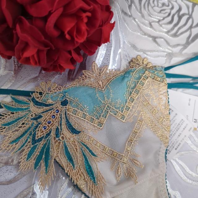 Wacoal/R[/salute/T[g/X܌/79G/Ƃ̖/GWvg/\OTobNV[c/M/BE  t@bV 