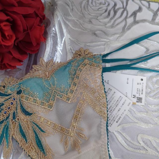 Wacoal/R[/salute/T[g/X܌/79G/Ƃ̖/GWvg/\OTobNV[c/M/BE  t@bV 