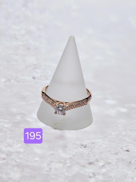 (195) CXg[ sNS[h w O 23   ANZT[/v 