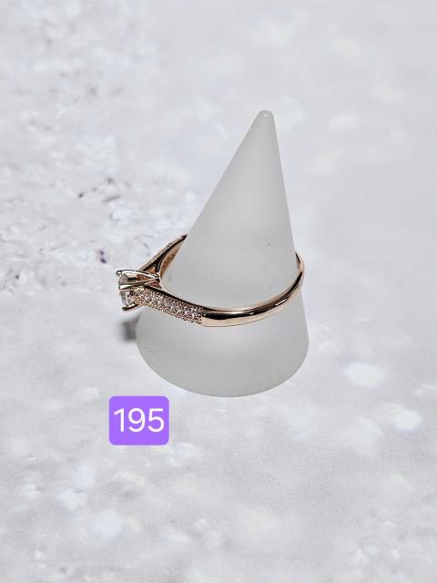 (195) CXg[ sNS[h w O 23  ANZT[/v 