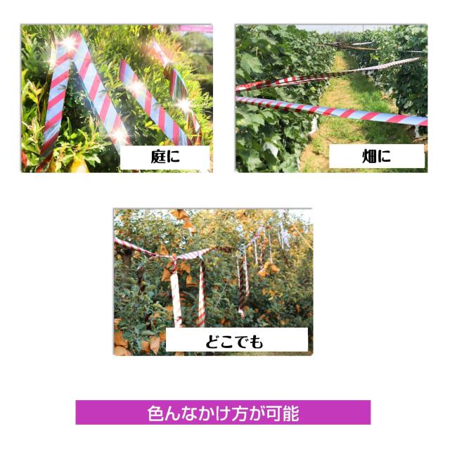 鳥よけ テープ 50m 1個 黄色 赤色 シルバー 高輝度 太陽光 両面 反射 リボン 鳩 スズメ カラス とりよけ グッズ アイ < インテリア/ライフ 鳥よけ テープ 50m 1個 黄色 赤色 シルバー 高輝度 太陽光 両面 反射 リボン 鳩 スズメ カラス とりよけ グッズ アイ < インテリア/ライフの