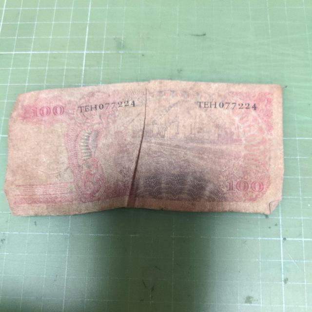 �C���h�l�V�A100���s�A�����i1968�j