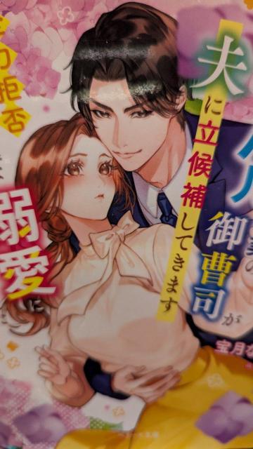 ���C�o����Ƃ̌䑂�i���v�ɗ���₵�Ă��܂����󌎂Ȃ��݁��x���[�Y����  �� �{/�G���� 