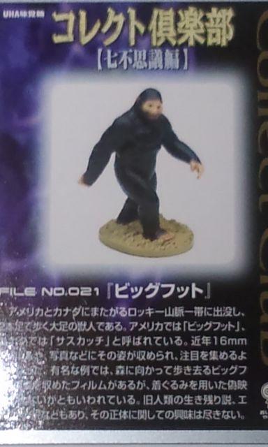 ◆コレクト倶楽部(七不思議編)ビッグフット/単品(味覚糖) < ホビー  ◆コレクト倶楽部(七不思議編)ビッグフット/単品(味覚糖)  < ホビーの
