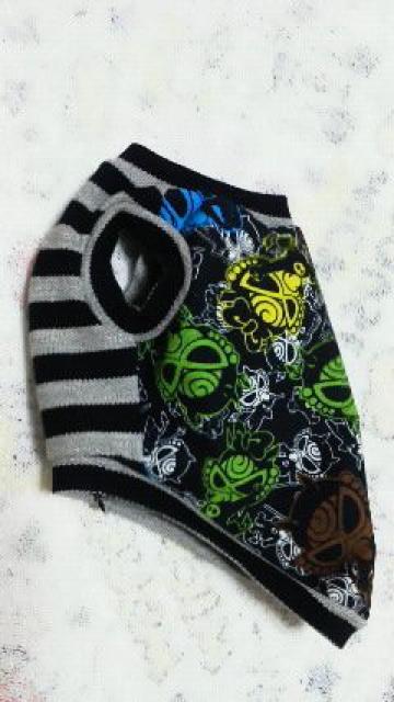 SALEnhChqX~jTVcfrLAE}`E{[_[Eprr  ybg/|/| 