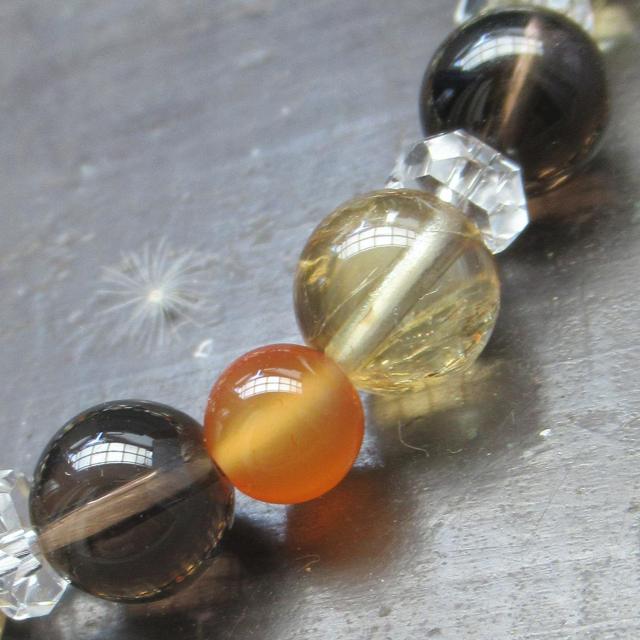 X[L[NH[cVgJ[lAuXbg  ANZT[/v 