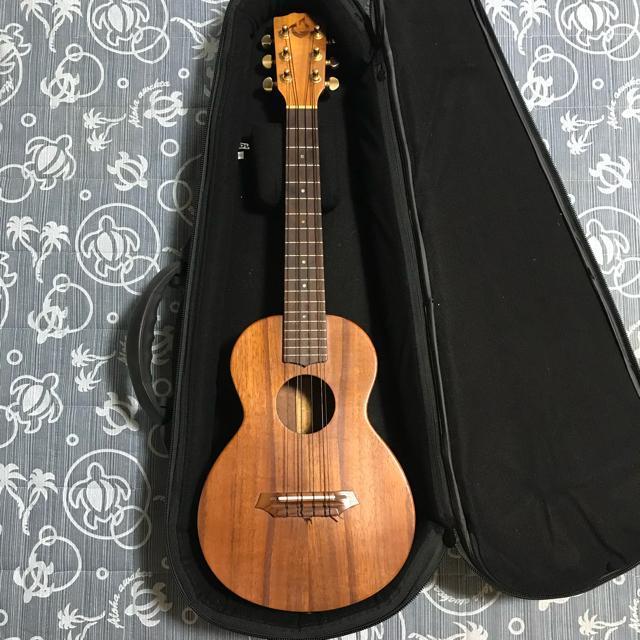 激レア G-String コア 6弦テナーウクレレ カスタム セミハードケース付 < ホビー 激レア G-String コア 6弦テナーウクレレ カスタム セミハードケース付 < ホビーの