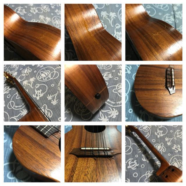 激レア G-String コア 6弦テナーウクレレ カスタム セミハードケース付 < ホビー 激レア G-String コア 6弦テナーウクレレ カスタム セミハードケース付 < ホビーの