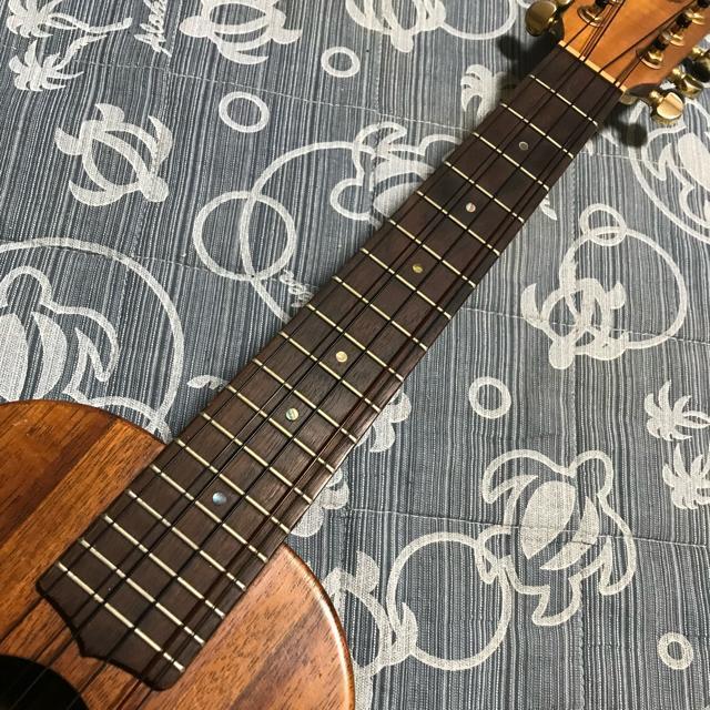 激レア G-String コア 6弦テナーウクレレ カスタム セミハードケース付 < ホビー 激レア G-String コア 6弦テナーウクレレ カスタム セミハードケース付 < ホビーの