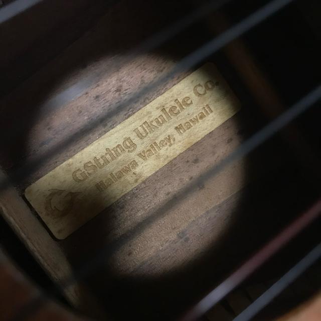 激レア G-String コア 6弦テナーウクレレ カスタム セミハードケース付 < ホビー 激レア G-String コア 6弦テナーウクレレ カスタム セミハードケース付 < ホビーの