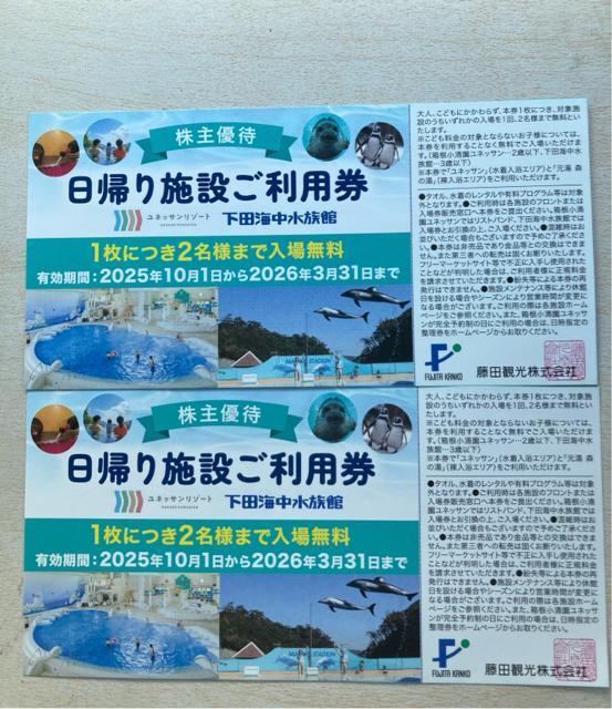 藤田観光 日帰り施設ご利用券 2枚 < チケット/金券 藤田観光 日帰り施設ご利用券 2枚 < チケット/金券の