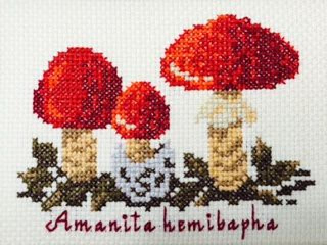 hnhChNXXeb`hJLmRؐz^}S_P  ybg/|/| 