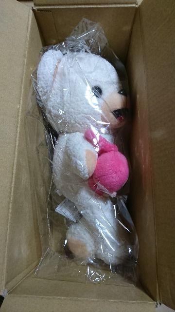 Iit@[t@~sL[L[ R{ʂ݁  zr[ 