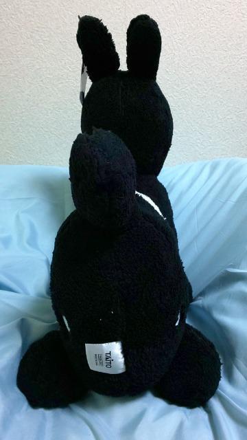 �yRody�z���ʂ�����݁����� �� ��������� 