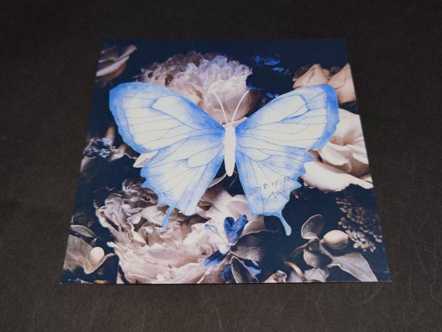 Aimer Hall Tour 18/19  hsoleil et pluieg  MTC AiU[WPbg   ^gObY 