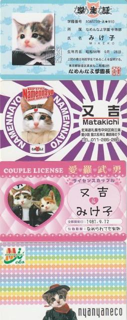 なめ猫パロディーカード 4種【B-19】 < ホビー  なめ猫パロディーカード 4種【B-19】  < ホビーの