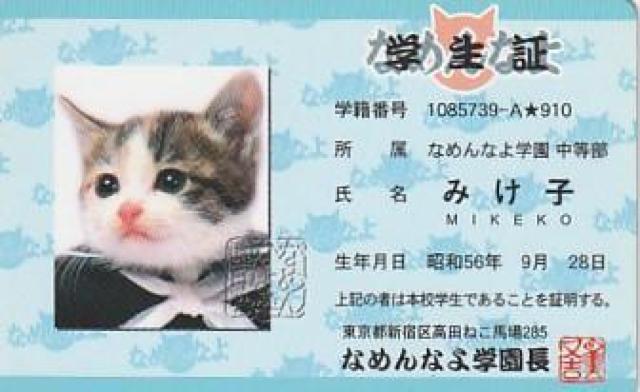 なめ猫パロディーカード 4種【B-19】 < ホビー  なめ猫パロディーカード 4種【B-19】 < ホビーの