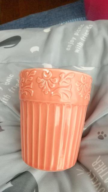 園芸植物のカップ < ペット/手芸/園芸 園芸植物のカップ < ペット/手芸/園芸の