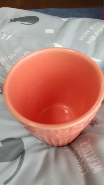 園芸植物のカップ < ペット/手芸/園芸 園芸植物のカップ < ペット/手芸/園芸の