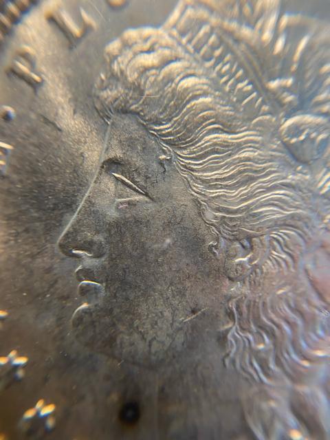 PCGS NCG アンティークコイン モルガンダラー 銀貨 古銭 < ホビー PCGS NCG アンティークコイン モルガンダラー 銀貨 古銭 < ホビーの