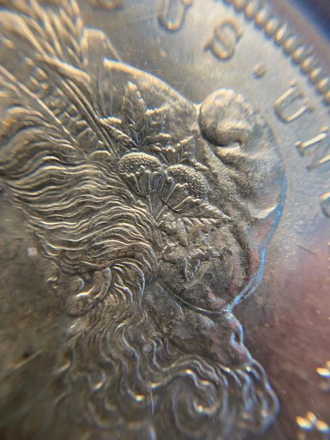 PCGS NCG アンティークコイン モルガンダラー 銀貨 古銭 < ホビー PCGS NCG アンティークコイン モルガンダラー 銀貨 古銭 < ホビーの