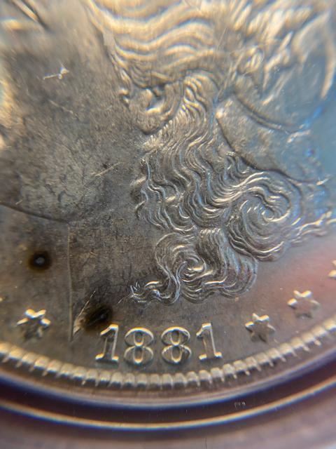 PCGS NCG アンティークコイン モルガンダラー 銀貨 古銭 < ホビー PCGS NCG アンティークコイン モルガンダラー 銀貨 古銭 < ホビーの