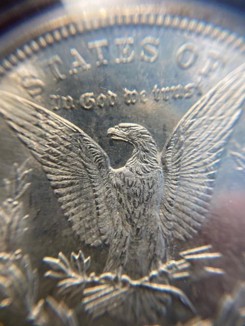 PCGS NCG アンティークコイン モルガンダラー 銀貨 古銭 < ホビー PCGS NCG アンティークコイン モルガンダラー 銀貨 古銭 < ホビーの