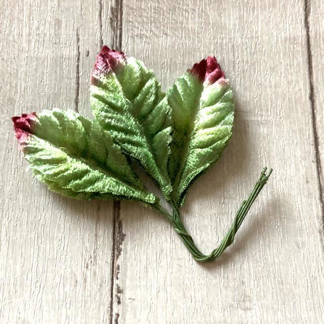 NtgfށEt()9   ybg/|/| 