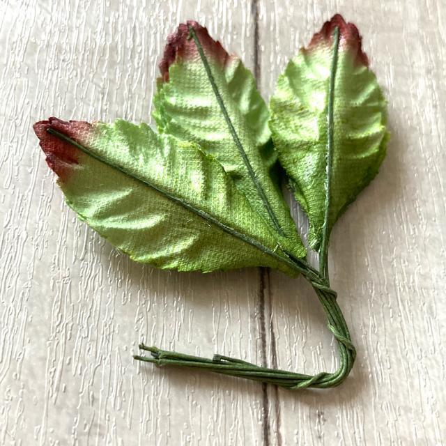 NtgfށEt()9  ybg/|/| 