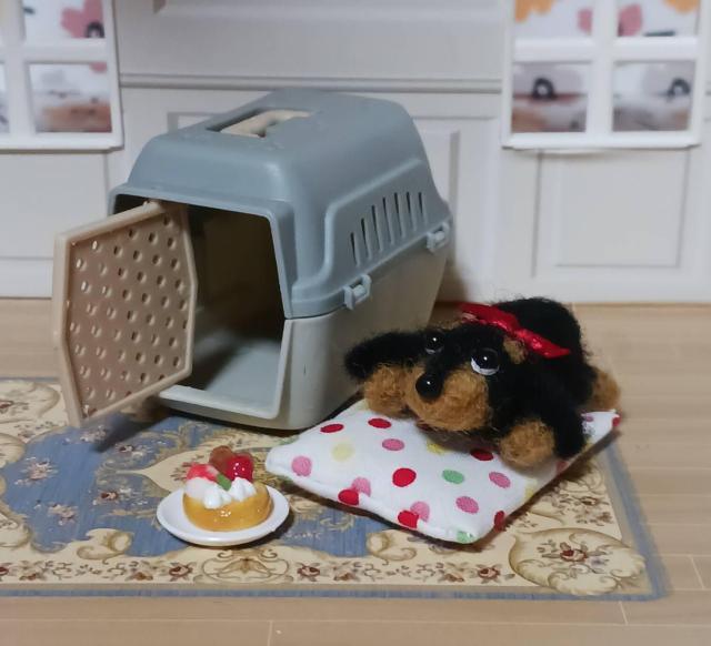 �����ȏ����ȃ_�b�N�X�����@�L�����[�{�b�N�X�E�P�[�L�t��  �� �y�b�g/��|/���|�� 