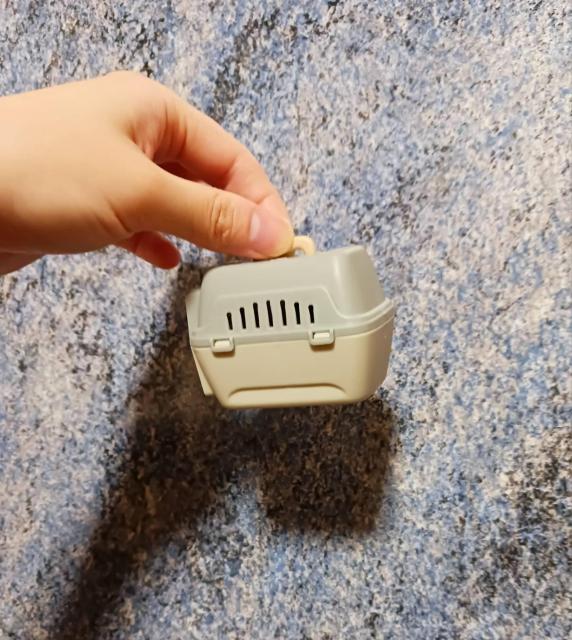 �����ȏ����ȃ_�b�N�X�����@�L�����[�{�b�N�X�E�P�[�L�t�� �� �y�b�g/��|/���|�� 