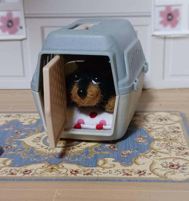 �����ȏ����ȃ_�b�N�X�����@�L�����[�{�b�N�X�E�P�[�L�t�� �� �y�b�g/��|/���|�� 