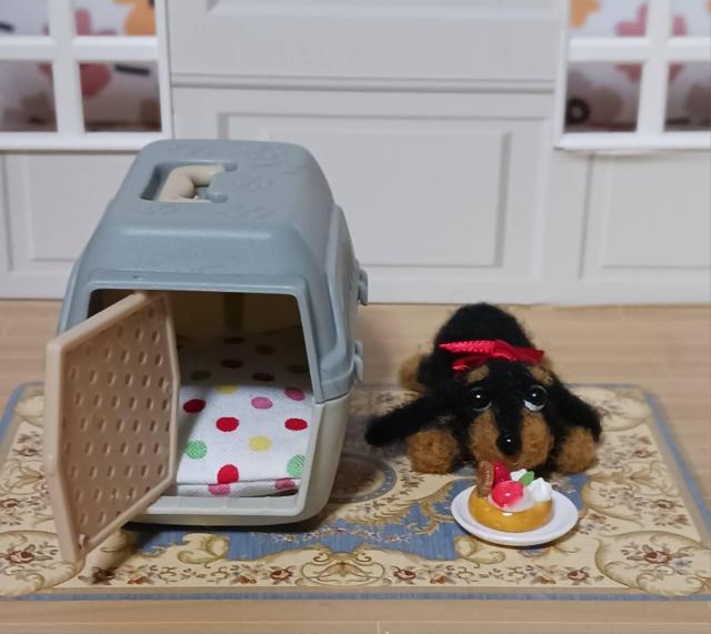 �����ȏ����ȃ_�b�N�X�����@�L�����[�{�b�N�X�E�P�[�L�t�� �� �y�b�g/��|/���|�� 