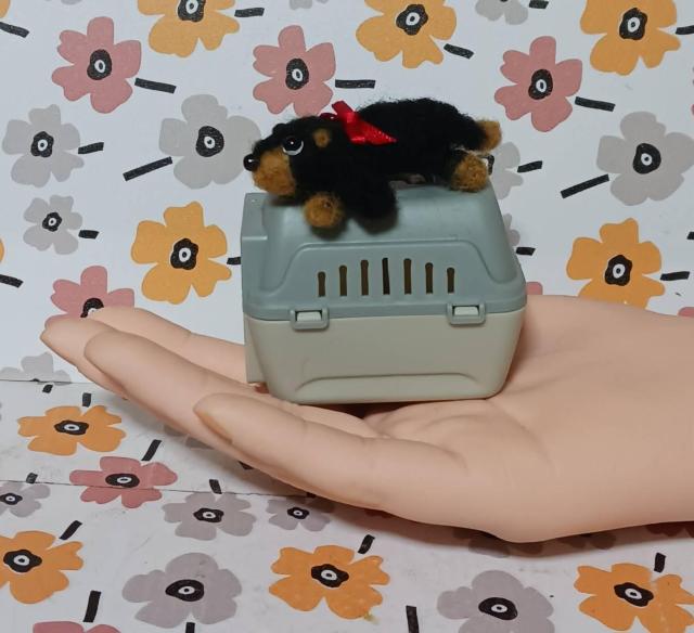 �����ȏ����ȃ_�b�N�X�����@�L�����[�{�b�N�X�E�P�[�L�t�� �� �y�b�g/��|/���|�� 