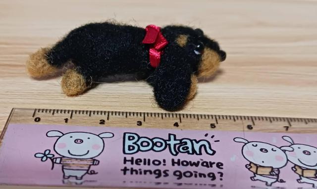 �����ȏ����ȃ_�b�N�X�����@�L�����[�{�b�N�X�E�P�[�L�t�� �� �y�b�g/��|/���|�� 