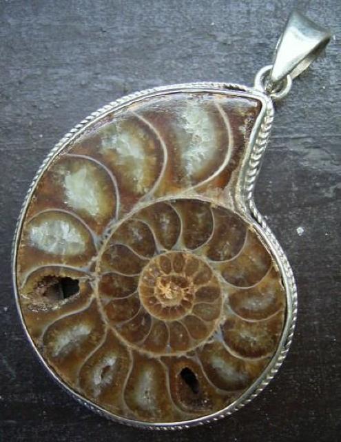☆即決☆アンモナイトシルバートップ 5.1センチ 化石 < 女性アクセサリー/時計 ☆即決☆アンモナイトシルバートップ 5.1センチ 化石 < 女性アクセサリー/時計の
