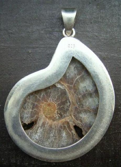 ☆即決☆アンモナイトシルバートップ 5.1センチ 化石 < 女性アクセサリー/時計 ☆即決☆アンモナイトシルバートップ 5.1センチ 化石 < 女性アクセサリー/時計の