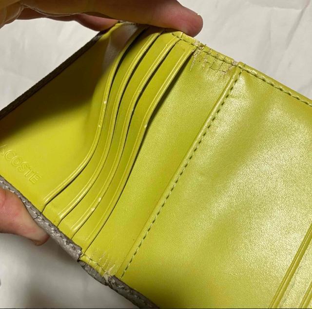 �yLACOSTE / ���R�X�e�z �O�܂���z /���U�[