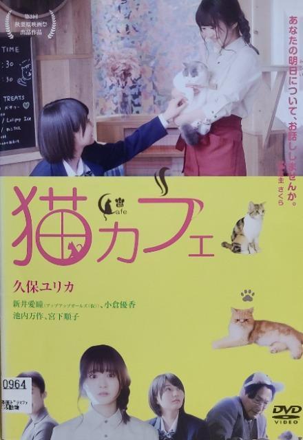 中古DVD 猫カフェ < CD/DVD/ビデオ  中古DVD 猫カフェ  < CD/DVD/ビデオの