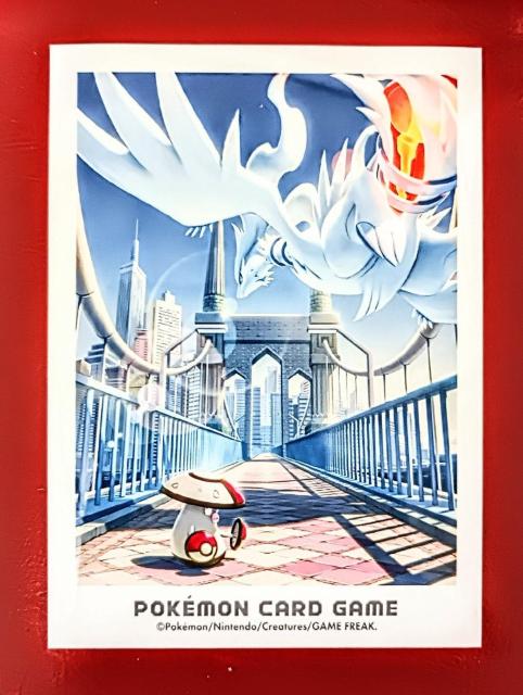 鑑定済み極 美品 !ポケモントレーディングカード高騰中 入手困難! < トレーディングカード 鑑定済み極 美品 !ポケモントレーディングカード高騰中 入手困難! < トレーディングカードの