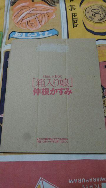 DUNK付録 仲根かすみ 立体スタンドパネル < タレントグッズ  DUNK付録 仲根かすみ 立体スタンドパネル  < タレントグッズの