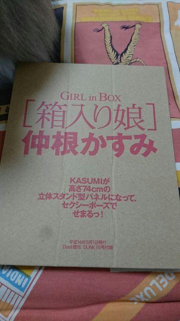 DUNK付録 仲根かすみ 立体スタンドパネル < タレントグッズ  DUNK付録 仲根かすみ 立体スタンドパネル < タレントグッズの