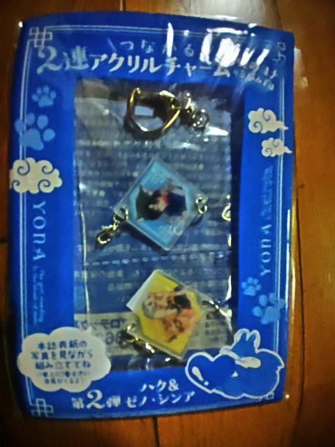 ł̃i  2AAN`[PAQe@Wbp[obOZbg  蒠  Aj/R~bN/LN^[ 