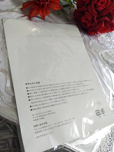 Wacoal/ワコール/salute/サルート/62G/プレステージ/アールデコ/ノベルティ/アップリケ/非売品 < 女性ファッション  Wacoal/ワコール/salute/サルート/62G/プレステージ/アールデコ/ノベルティ/アップリケ/非売品 < 女性ファッションの