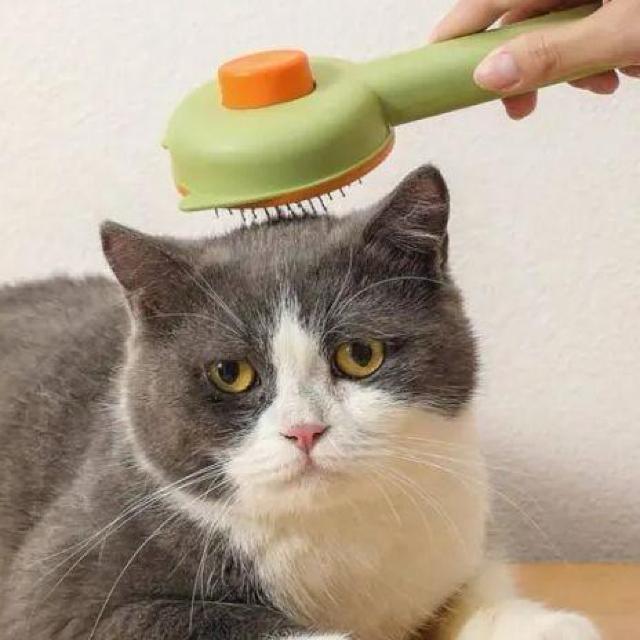 L O[~OuVA L oj[ ybg O[~O EуuVALp ZtN[jO ybguVA  ybg/|/| 